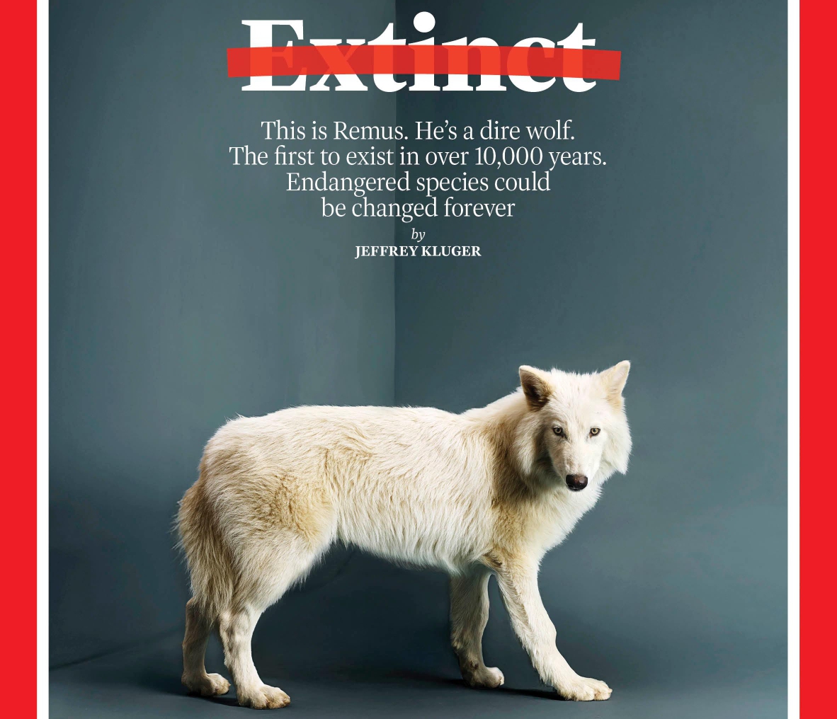 Wolf