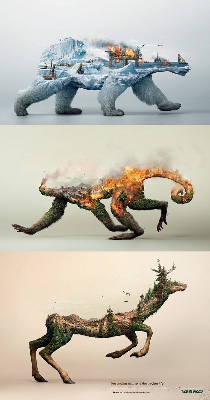 humans